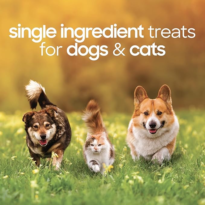 smallbatch Freeze Dried Dog Treats, Chicken Liver Treats for Dogs & Cats, High Protein, Single Ingredient Dog Treat for Training or Food Topper, Natural, Humanely Sourced Meat, Made in the USA, 3.5 oz