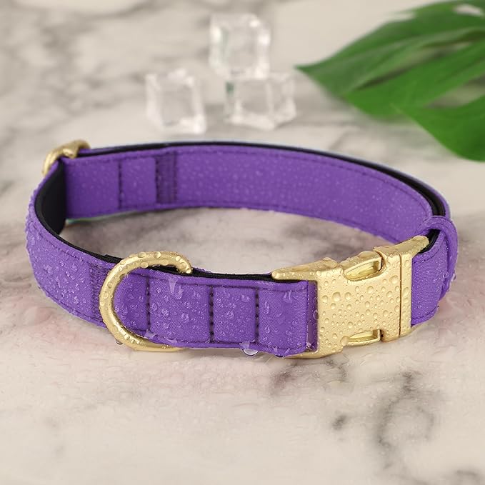 Didog Soft Padded Dog Collar for Large Dogs, Colorful and Durable Pet Collar with Quick Release Buckle, Light and Breathable for Daily Walking, Purple, L