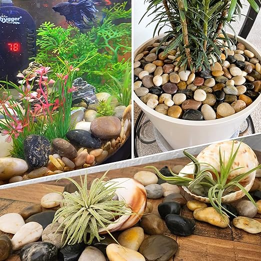 2LB 1"-2" Decorative River Rocks for Plants, Polished Pebbles for Garden Landscaping, Planters, Aquariums, Vase Fillers – Indoor & Outdoor Decor