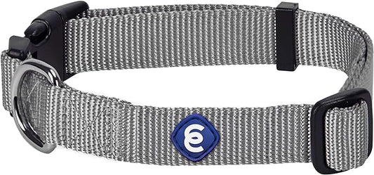 Blueberry Pet Essentials Small Dog Collar in Flint Gray | Adjustable & Eco-Friendly Durable Nylon Strap | Classic Collar for Small Dogs, Boy & Girl Pets