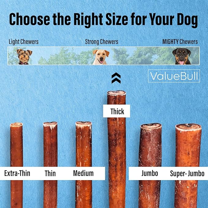 ValueBull Bully Sticks for Dogs, Thick 12 Inch, 25 Count - All Natural Dog Treats, 100% Beef Pizzles, Single Ingredient