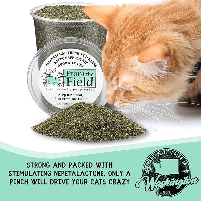 from The Field | Fine Ground Stalkless Catnip | Premium USA-Grown Catnip for Toys & Playtime | Fresh, Potent, Non-Toxic, Eco-Friendly | Safe for Kittens & Cats | Resealable 1 oz Can