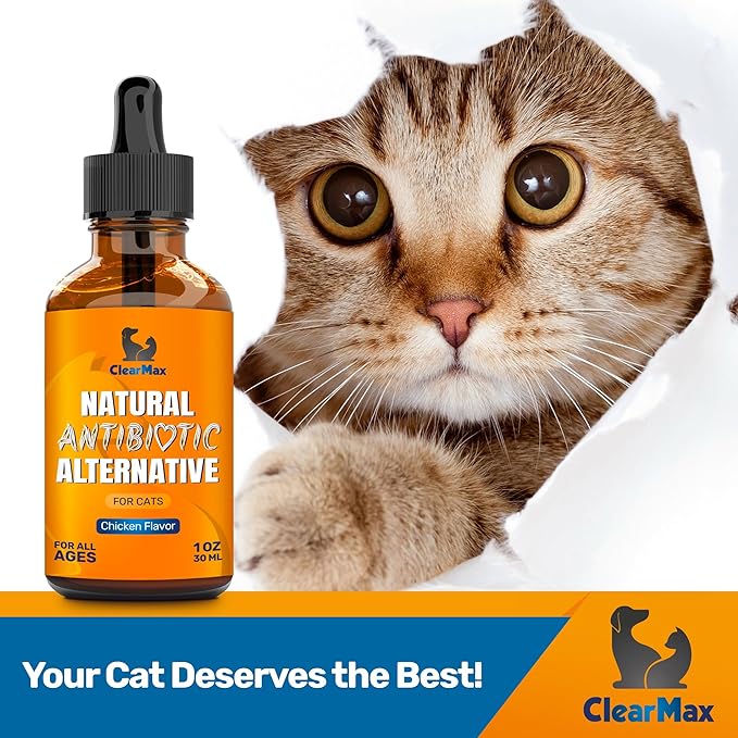 Cat Antibiotic to Help with Cough & Allergies – Antibiotics for Cats to Aid with UTIs and Digestive Moments – HIPS & Joints Support – Attractive Chicken Taste – 1 Oz Bottle