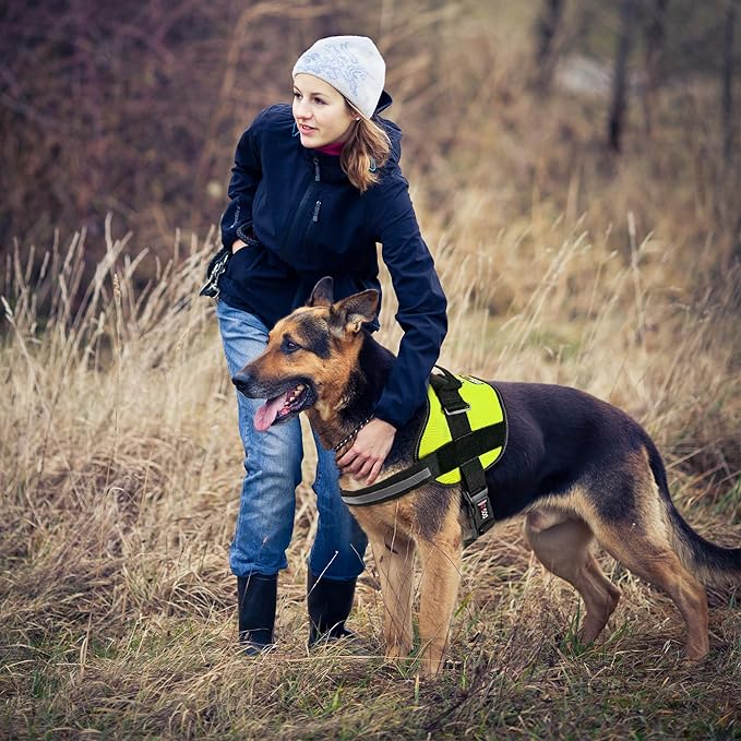 Dogline Dog Harness, Reflective No-Pull Adjustable Vest with Handle for Walking, Training, Breathable, No - Choke Harness for Small, Medium or Large Dogs Room for Patches Girth 33"-46" in Lime Green