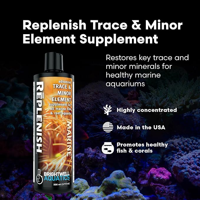 Brightwell Aquatics Rēplenish – Premium Trace & Minor Element Supplement for Marine Aquariums, Supports Healthy Fish, Corals, and Invertebrates, 250 ml