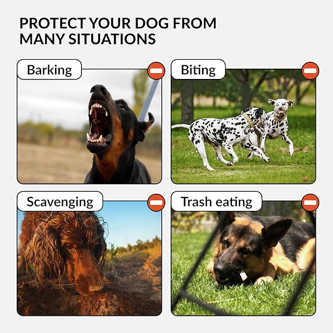 CollarDirect Dog Muzzle German Shepherd Dalmatian Doberman Setter Leather Basket Medium Large Breeds (Grey, Medium)