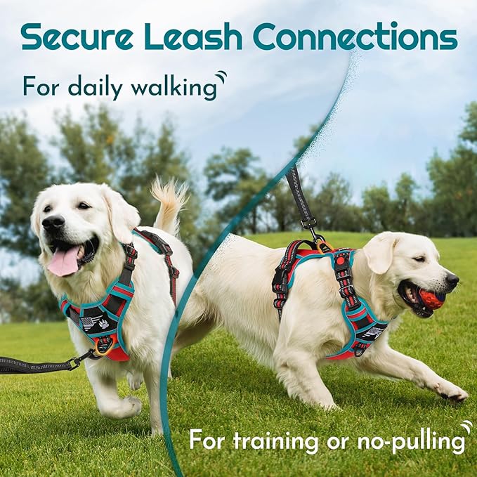 Eagloo Dog Harness Medium Sized, Easy Wearing with 3 Buckles, Adjustable No Pull Pet Harness with 2 Rings for Walking, No Chock Reflective Soft Padded Vest with Control Handle, Red & Teal, M