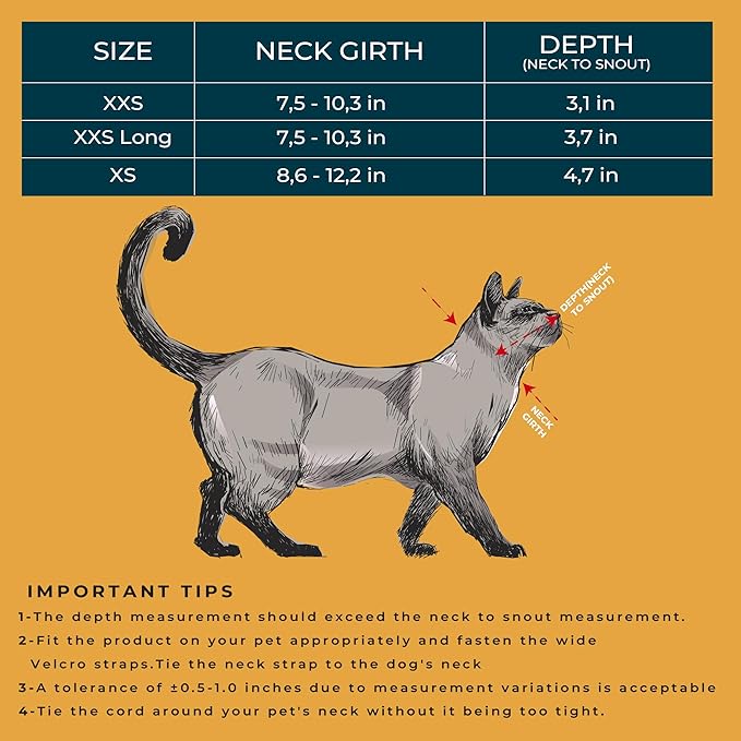 Cat Cone Collar – Colorful Cat Pattern - Lightweight Recovery Cone for Cats, Anti-Lick & Anti-Scratch, Vet Recommended, Elizabethan Collar (Colorful, XXS Long [Neck Girth: 7.5"-10.3"])