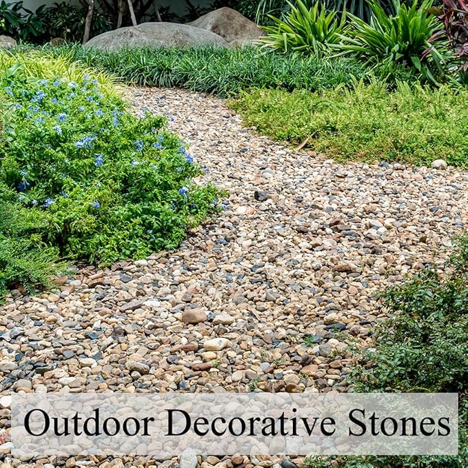 5 lbs Gravel for Fish Tank, 2/5 Inch Mixed Color River Rocks for Aquarium, Vase Fillers, Cactus Bonsai, Plant Soil Cover and Outdoor Garden Landscaping Rocks