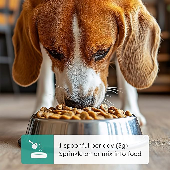 Dog Teeth Cleaning Powder - Dog Breath Freshener + Dental Care for Doggies & Cats + Tartar Remover for Teeth with Natural Ingredients + Probiotics Blend (Mint - 200g)