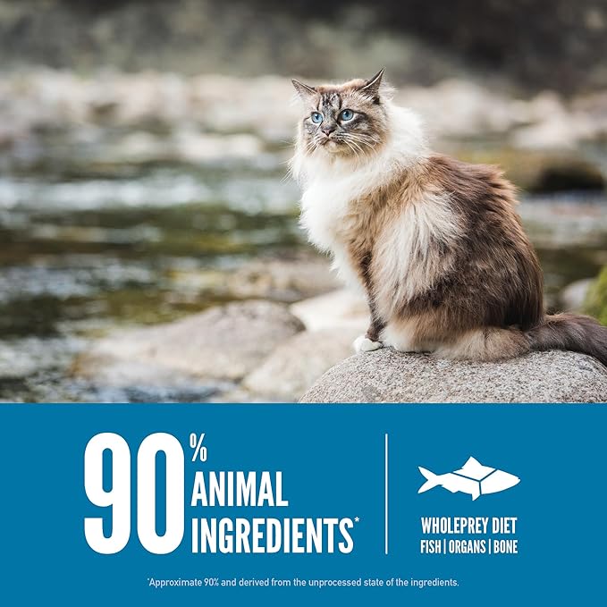 ORIJEN Grain Free High Protein Premium Dry Cat Food Six Fish Recipe 4lb Bag