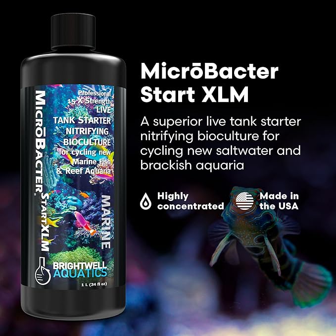 Brightwell Aquatics MicroBacter Start XLM - Concentrated Freshwater Nitrifying Bacteria - Quick Start Fish Tank Starter, Lift Microbe Levels & Water Filtering - Aquarium Water Treatments, 33.8 fl oz