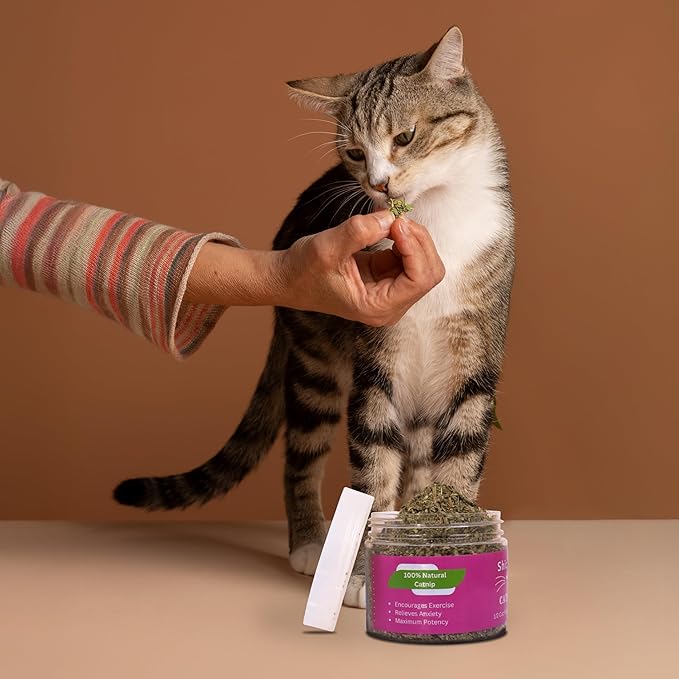 Catnip for Cats with Leaves and Flowers 100% Natural and Organic Catnip Premium Cat Nip for Cats & Kittens Used as a Snack or Refillable Catnip Treats for Cats (1/2 Cup, 2 Ounces)