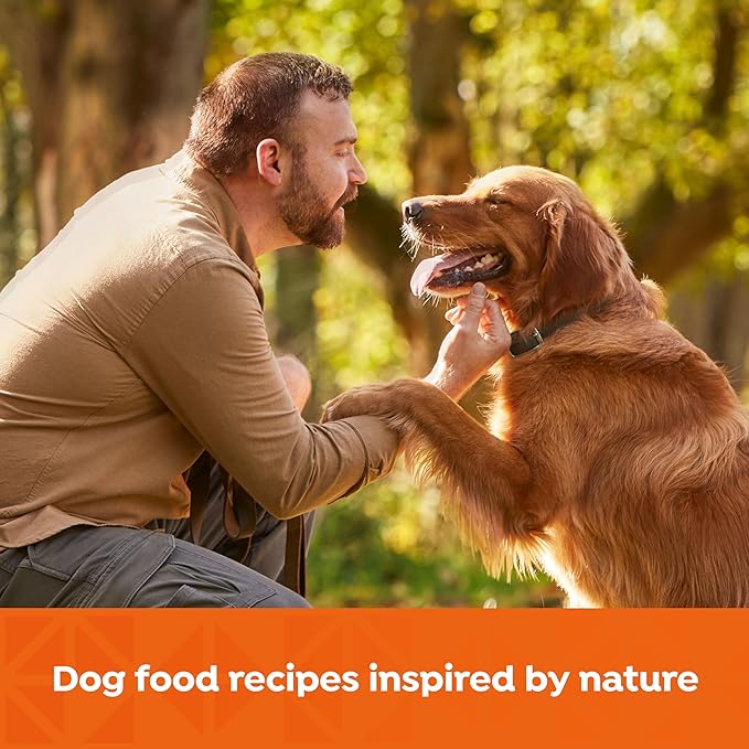 Nature's Recipe Grain Free Chicken, Sweet Potato, and Pumpkin Recipe Wet Dog Food, 13 oz. Can, 12 Count