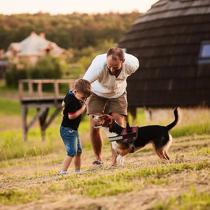 Dogline Dog Harness, Reflective No-Pull Adjustable Vest with Handle for Walking, Training, Breathable, No - Choke Harness for Small, Medium or Large Dogs Room for Patches Zebra Black/Red XS 15"-18"