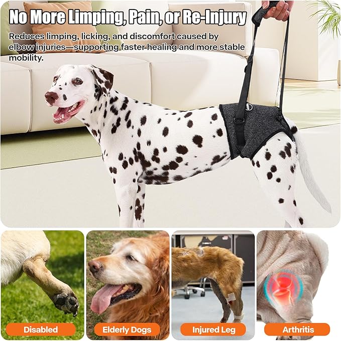 Dog Sling for Medium Large Dog Rear Leg, Lift Harness Provide Support with Muscle Atrophy and Joint Problems for Elderly Injured Arthritic Pet, Dog Weak Rear Legs Provides Rehabilitation Aid