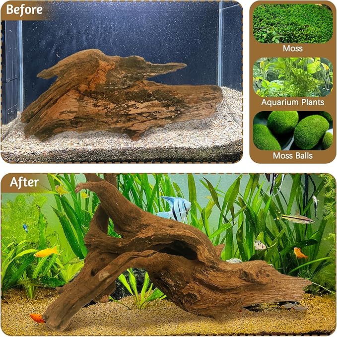 kathson Natural Large Aquarium Driftwood Decoration Branches Reptiles Terrarium Ornament Wood Fish Tank Habitat Decor Assorted Sizes Wood 2 PCS (15"-19")