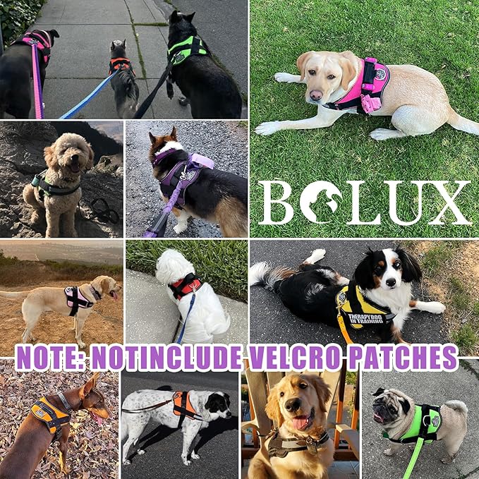 Bolux Dog Harness, No-Pull Reflective Dog Vest, Breathable Adjustable Pet Harness with Handle for Outdoor Walking - No More Pulling, Tugging or Choking (Lavender, Large (Pack of 1))