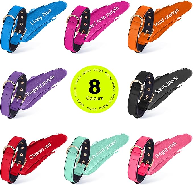 Didog Soft Padded Dog Collars for Medium Dogs, Lightweight and Breathable Dog Collar with Metal Buckle, Green, L