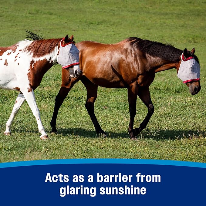 Farnam SuperMask II Fly Mask Without Ears for Smaller Horses or Arabian Horses,Full Face Coverage & Eye Protection from Insect Pests, Structured Classic Mesh with Plush Trim,Small Horse/Arabian Size