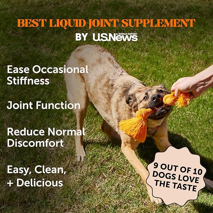Dog Joint Supplement with Salmon Oil for Dogs - Ease Stiffness, Reduce Discomfort & Support Joint Mobility Liquid Supplement, Dog Food Topper Bone Broth with Glucosamine for Dogs (12 oz)