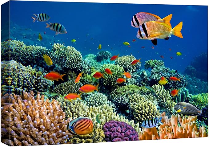 wall26 Canvas Print Wall Art Vibrant Coral Reef Underwater Panorama Nature Animals Photography Realism Rustic Scenic Landscape Wilderness Earth Colorful for Living Room, Bedroom, Office - 32"x48"
