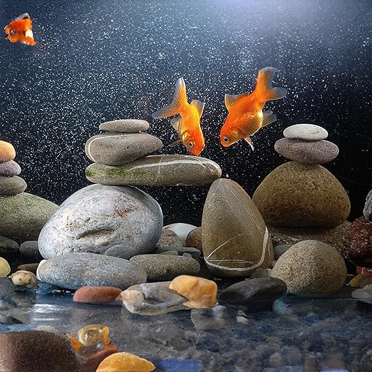 40lbs Large River Rocks for Landscaping, 2-3 Inch Big Black Pebbles, Hand-Picked Premium Stones for Garden Design, Fish Tank, Flower Pots, Pathways and Backyard