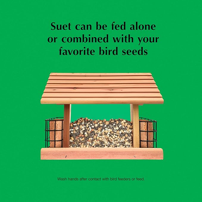 C&S Sunflower Suet Nuggets, Suet Nuggets for Wild Birds, 27 Ounces