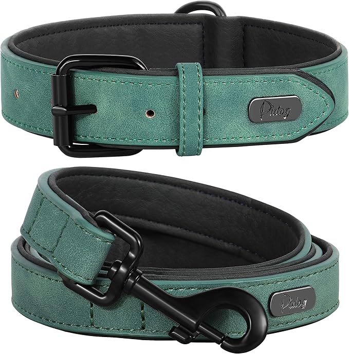 Didog Soft Padded Leather Dog Collar and Leash Set, Adjustable and Breathable Pet Collars with 4FT PU Leather Dog Leash for Small Medium Large Dogs, Green, XL