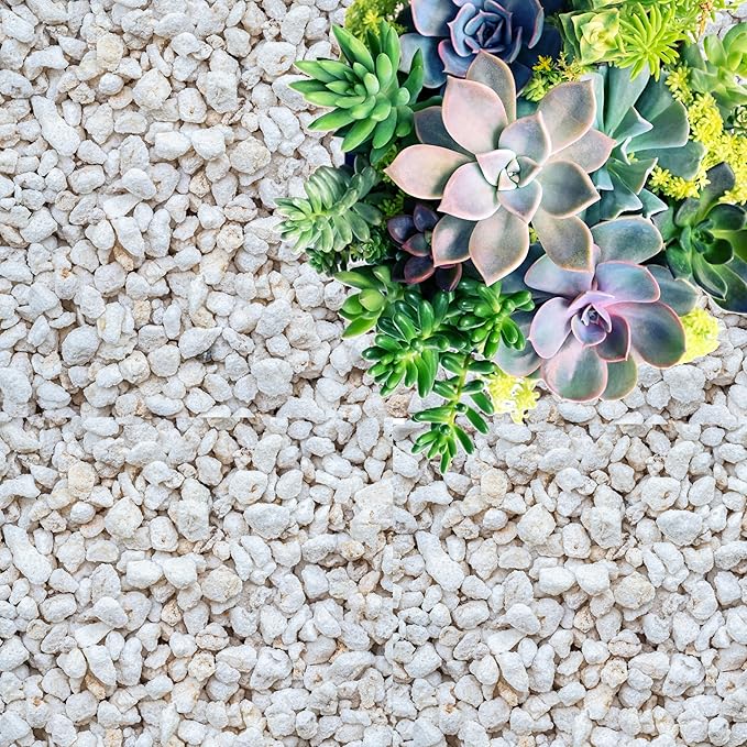 Perlite for Plants, Coarse and Chunky Horticultural Perlite, Organic Perlite for Gardening Indoor & Outdoor, Perlite Bulk Bag, Made in USA (5 quarts)