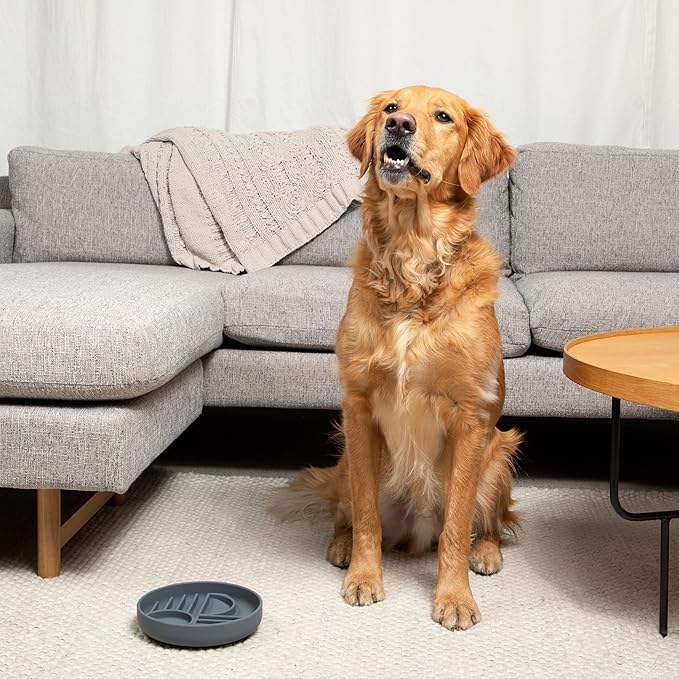 The Slowdown Bowl Silicone Slow Feeder for Dogs & Puppies, Slow Eating Modern Lick Mat Design, Reduces Gulping, Fits 2 Cups 7.5” Across x 1.5” Tall, Mealtime Challenge, Medium-Charcoal