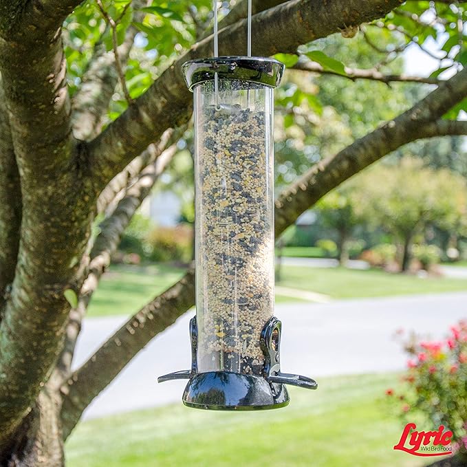 Lyric Wild Bird Mix - Wild Bird Food for Outside Feeders - Attracts Doves, Jays and many more - 20 lb. Bag