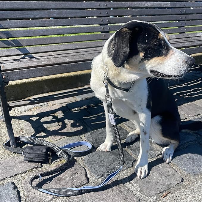 Dog Poop Bag Holder for Leashes - Dog Poop Bag Dispenser and Treat Holder with 2 Waterproof Pouches for Pet Waste Bags and Walking Accessories + 1 Free Roll - Leashrr 2.0 (Pink)