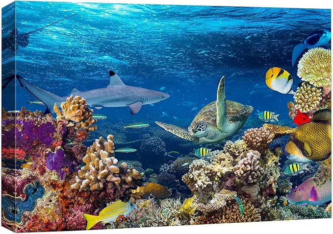 wall26 Canvas Print Wall Art Tropical Island Underwater Turtle Shark Nature Animals Photography Realism Rustic Scenic Landscape Wilderness Earth Colorful for Living Room, Bedroom, Office - 16"x24"