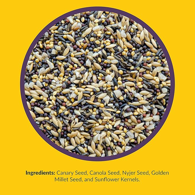 Lyric Finch - Small Songbird Wild Bird Seed - Attracts Goldfinches, House Finches, Purple Finches & More - 20 lb. bag
