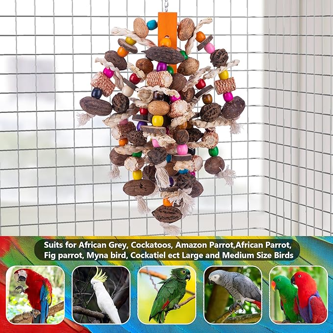 Deloky Large Parrot Bird Chewing Toys, Natural Nuts Corn Parrot Tearing Toy, Wooden Bird Cage Toy for African Grey, Macaws Cokatoos, Amazon Parrots and Other Large Birds