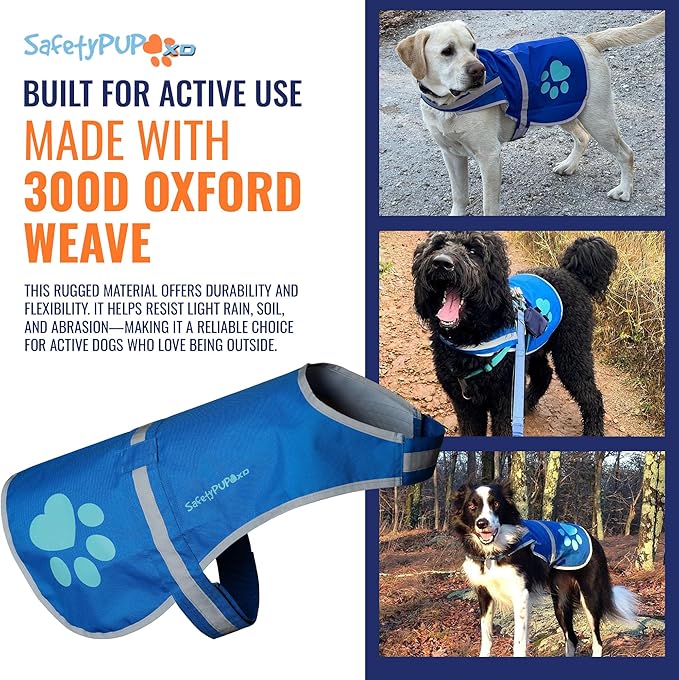 Dog Reflective Vest – Hi-Vis Fluorescent Visibility That Helps to Safeguard Your Pet On/Off Leash in Urban & Rural Areas (Blue, Small)