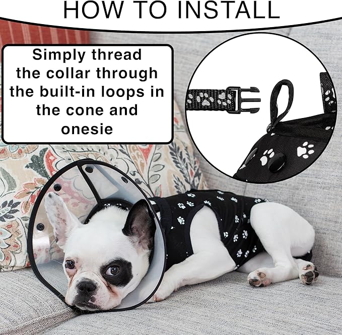 Cat Recovery Cone Kit Post Surgical Soft Pet Vest, Collar, and Non-Irritating Protection Cone for Cats - Comfortable Injury Care Solution (Black with White Paws, Small)