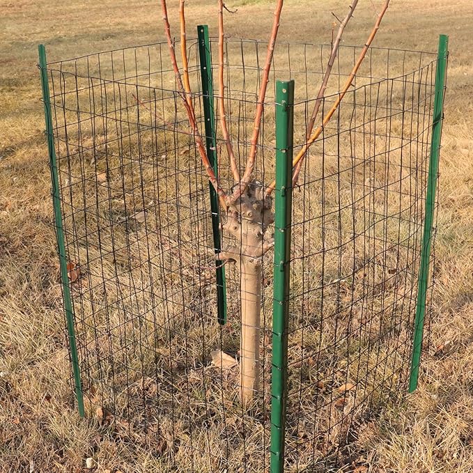 Black PVC Coated Welded Wire Fence 36 Inch x 25 Foot, 2 Inch x 3 Inch 16GA, Garden Border Fencing Roll Vinyl Coating Metal Wire Mesh for Yard Vegetable Plant Protection Poultry Netting