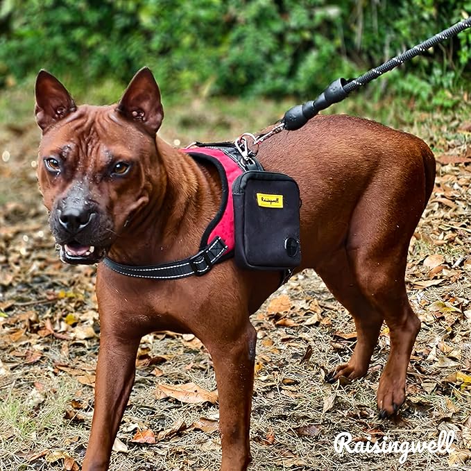 Dog Treat Pouch for Pet Walking and Training with Clicker Poop Bags Small Fanny Zipper Pack Holder for Puppy Snack Dispenser Kit for Leash and Outdoor Use (Black)