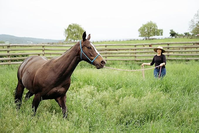 22' Long Line with SS O Ring and Carabiner (Turquoise Brown)