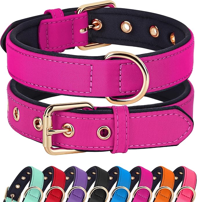 Didog Soft Padded Dog Collars for Medium Dogs, Lightweight and Breathable Dog Collar with Metal Buckle, Rose Purple, L