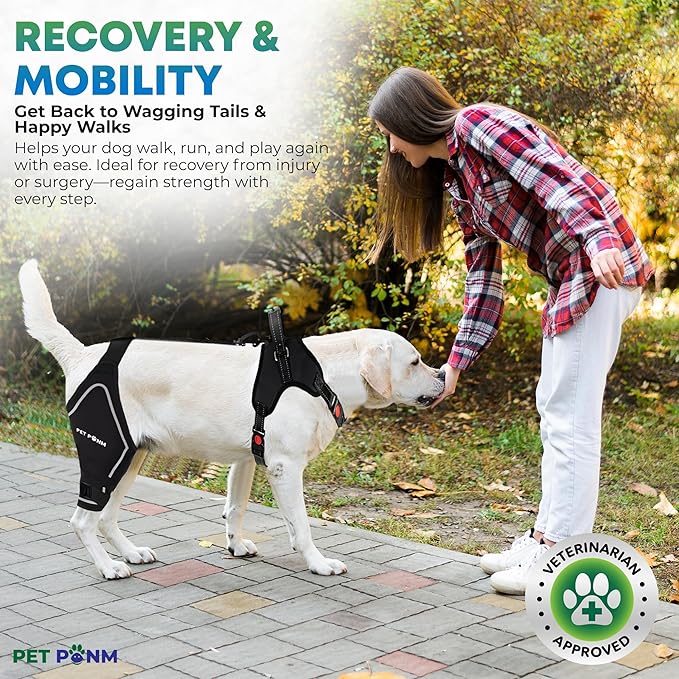 Comfortable Dog Knee Brace for Both Hind Legs with Harness - for ACL Tear, Luxating Patellae, Osteoarthritis & Instability - for Recovery & Injury Prevention in Active/Aging Dogs - (Medium)
