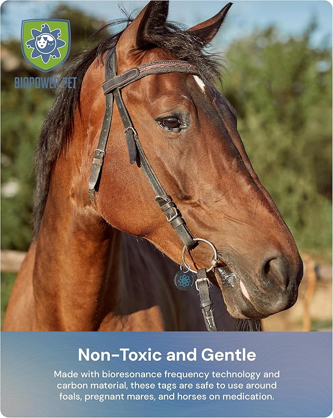 BioPower Natural Fly & Tick Repellent for Horses - Horse Shield and Stall Tags with 1-Year Bioresonance Protection – Chemical-Free, Waterproof Carbon Tag Clips to Halter – Holistic & Safe Pest Defense