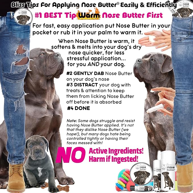 The Blissful Dog Cane Corso Unscented Nose Butter, 16oz