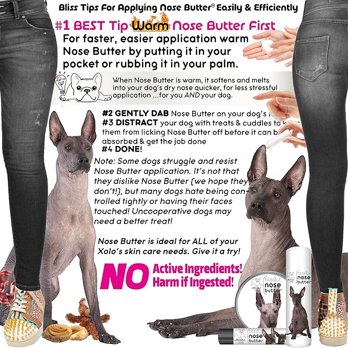 The Blissful Dog Xoloitzcuintli Nose Butter for Dry, Cracked Skin, Lick-Safe Dog Nose Balm with Moisturizing Shea Butter, Almond, Olive, and Essential Oils, Pet Supplies, Uncented, 1 oz.