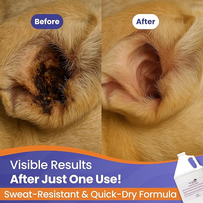 Dog & Cat Ear Cleaner Solution with Aloe Vera & Tea Tree Oil – Removes Itchy Ear Wax, Debris, Odor – Ears Wash, Drops & Flush for Pets, Dog Ears Cleaning, Cat Cleaner, 16 oz- 4 Gallons