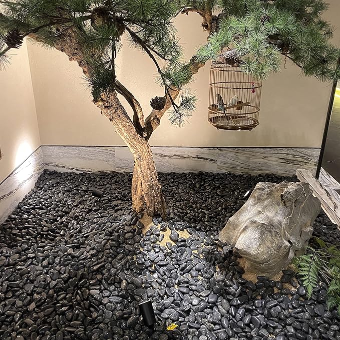 20lb Black River Rocks - 2-3 inch Polished Pebbles for Plants, Decorative Stones for Large Planters, Landscaping, Vases, Aquariums & Fish Tanks