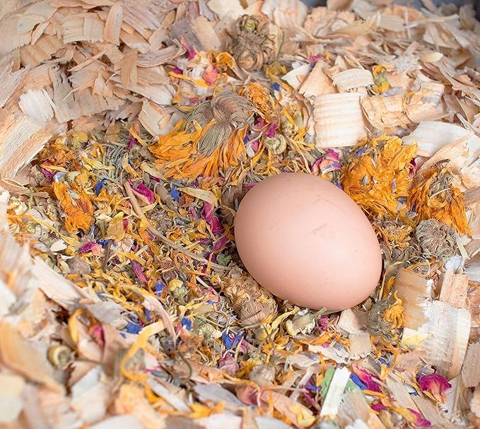 Pampered Chicken Mama Backyard Chicken Treats for Great Eggs - All-Natural Backyard Chicken Feed Supplies - Hen Treats for The Best Eggs Ever - High Calcium Supplement for Chickens (8 pounds)